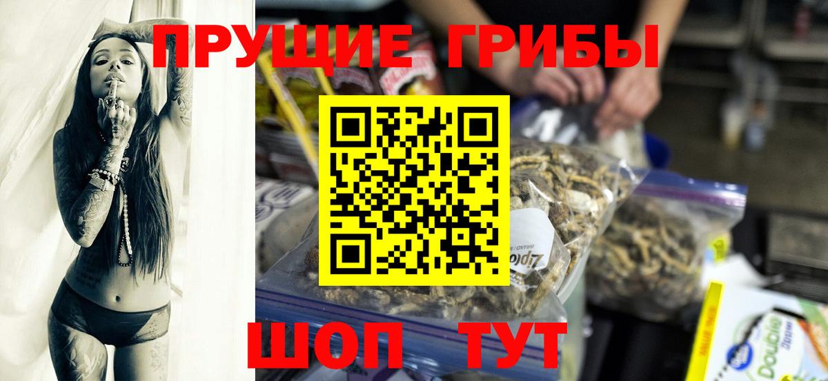 Галлюциногенные грибы прущие грибы  Вход с VPN  Ртищево 